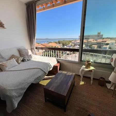Duplex Vue Et Etangs ! Clim / Parking Frontignan